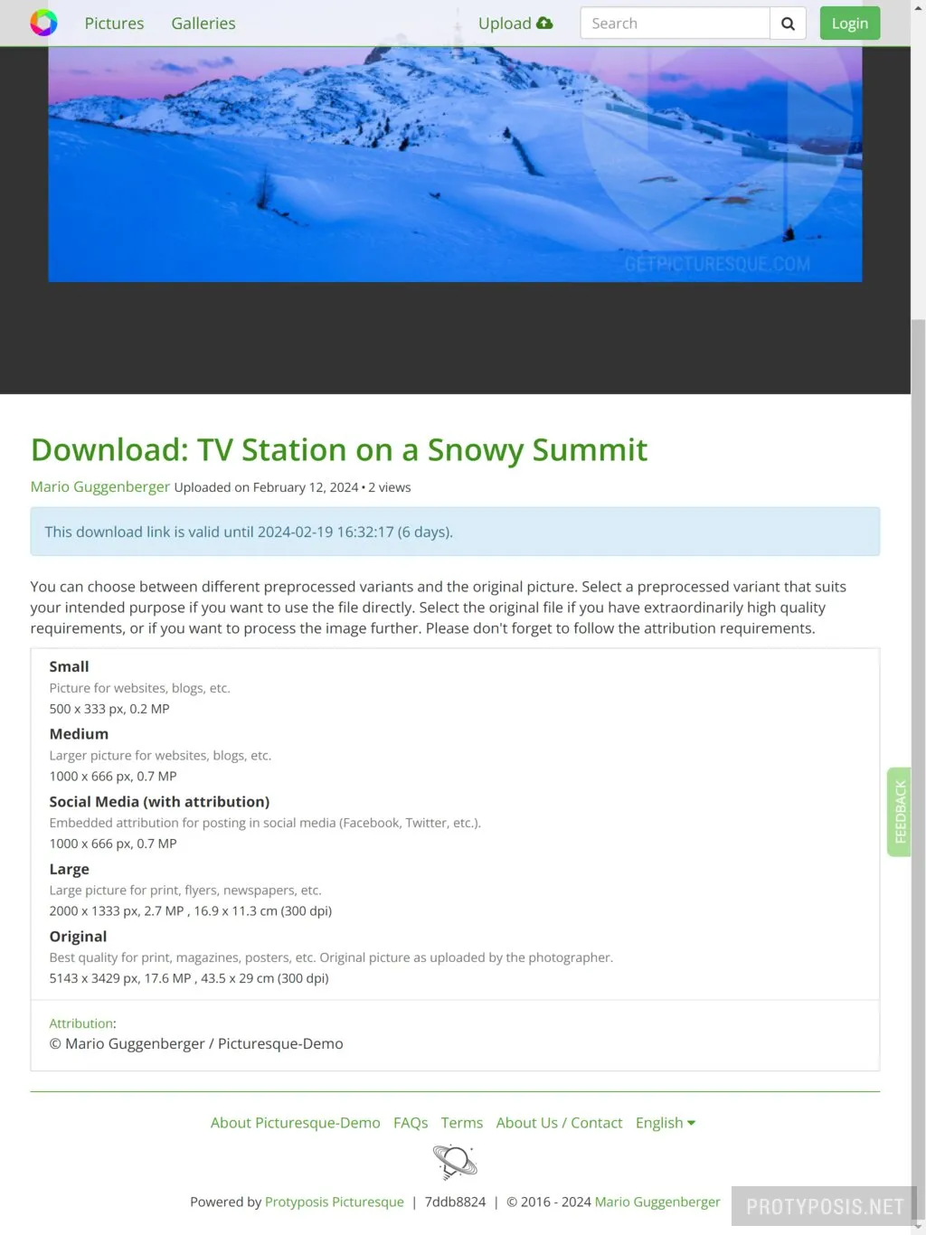 Picture download options