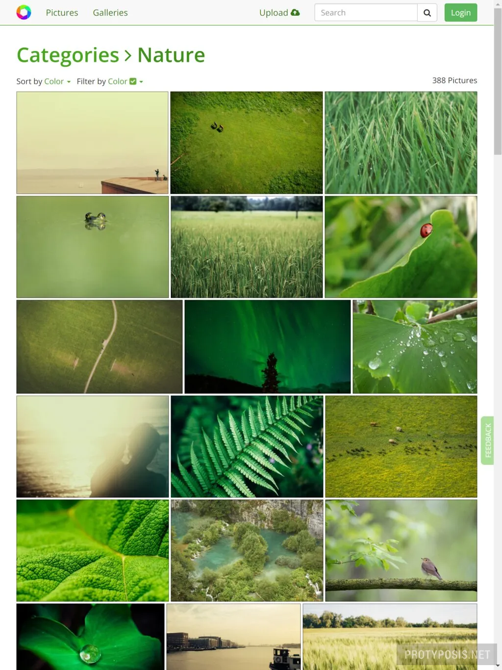 Pictures filtered by category and color